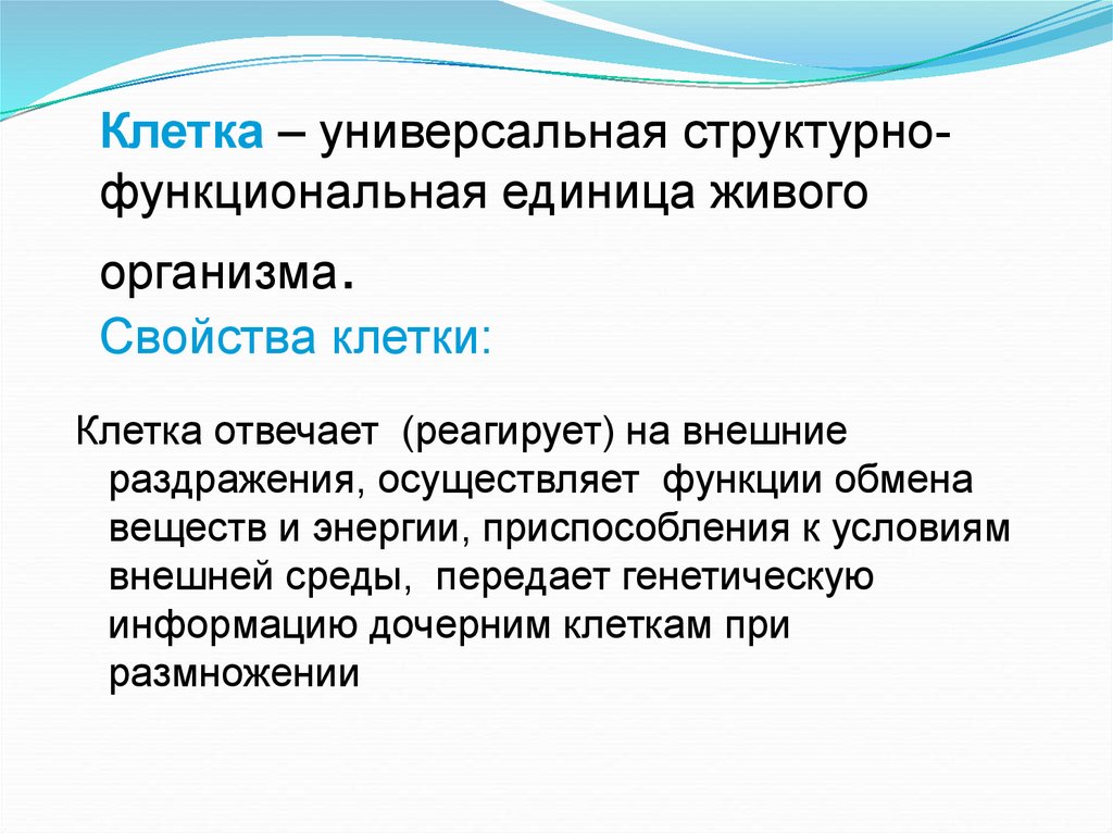 Проанализируйте рисунок 142 что является наименьшей структурной и функциональной единицей