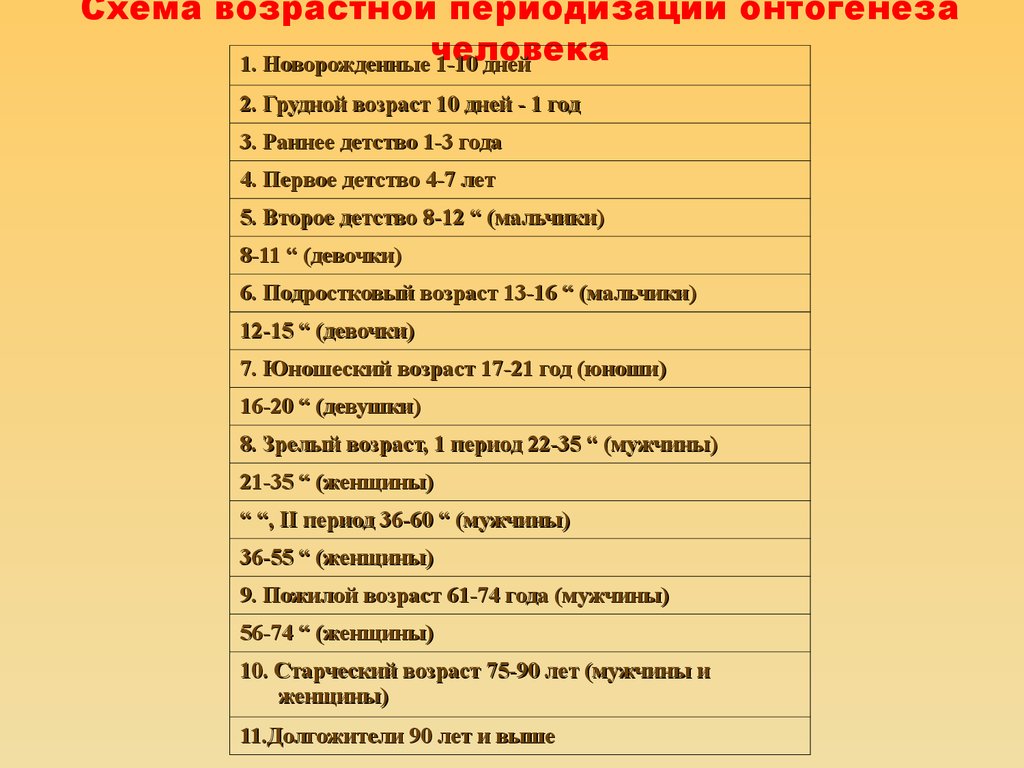 Современная схема возрастной периодизации