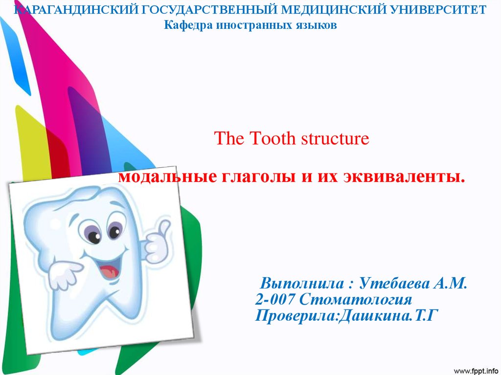 The Tooth structure модальные глаголы и их эквиваленты.