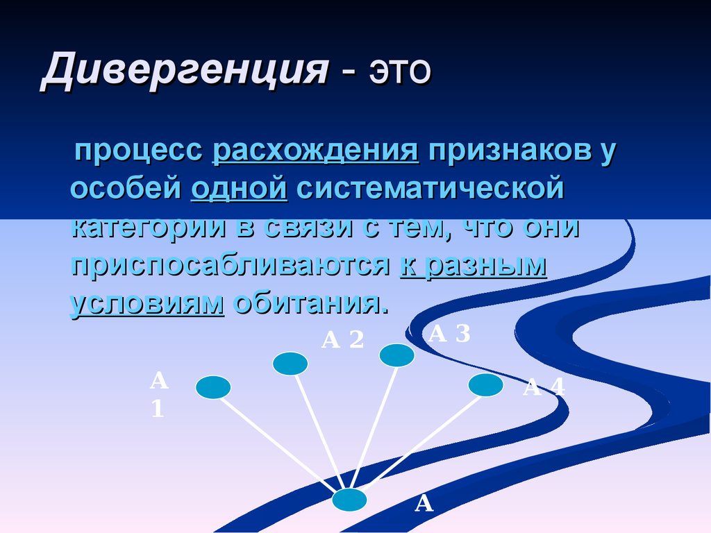 Дивергенция это. Дивергенция. Процесс дивергенции. Дивергенция расхождение признаков. Процесс расхождения признаков.