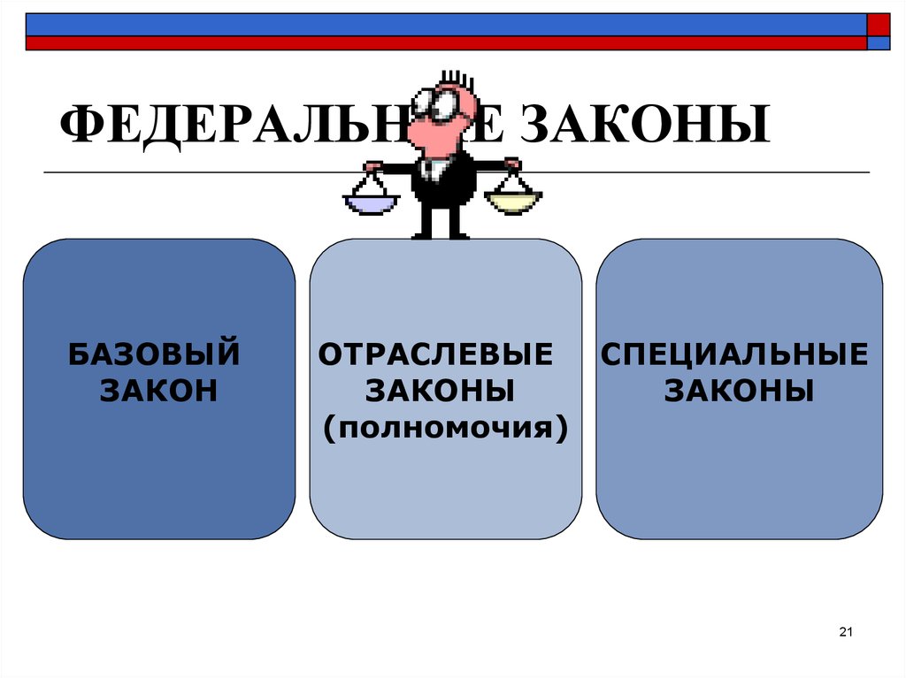 Особый закон. Отраслевые законы. Базовые законы. Система регионального законодательства. Свобода нормотворчества.