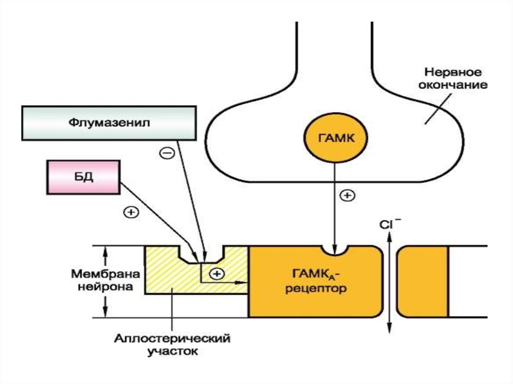 Гамк. ГАМК медиатор рецепторы. Строение ГАМК рецептора. Антагонисты ГАМК рецепторов препараты. ГАМК Б рецепторы.