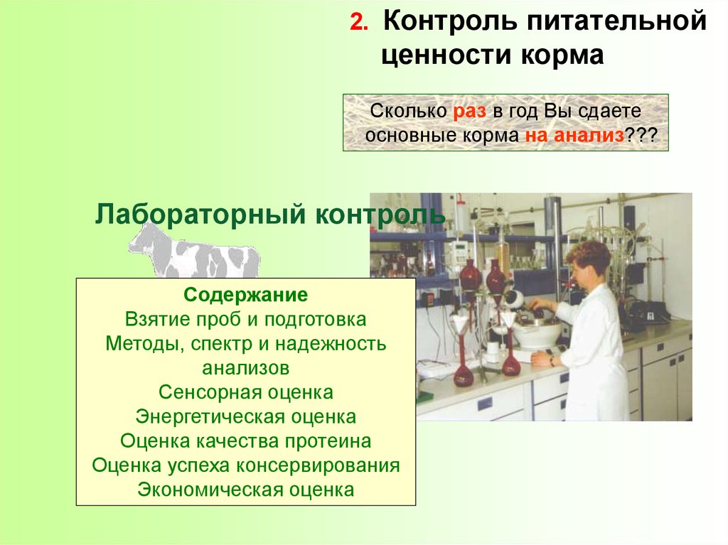 Схема химического анализа кормов