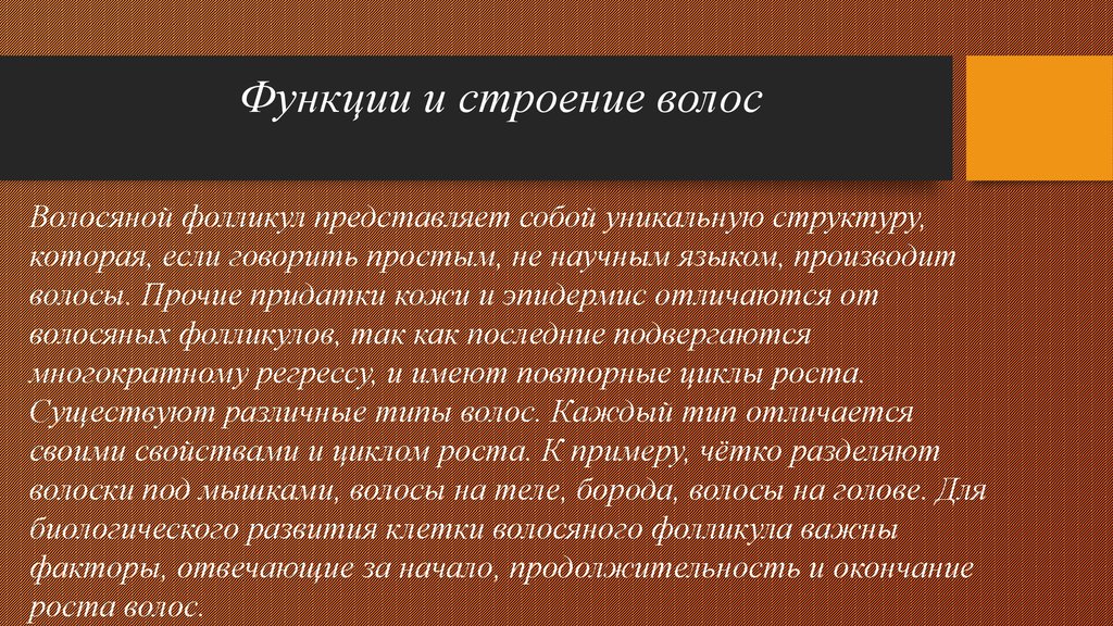 Что представляет со. Алгоритм подачи заявления. Алгоритм подачи заявок на конкурс. Каков алгоритм подачи заявки. Алгоритм подачи счета.