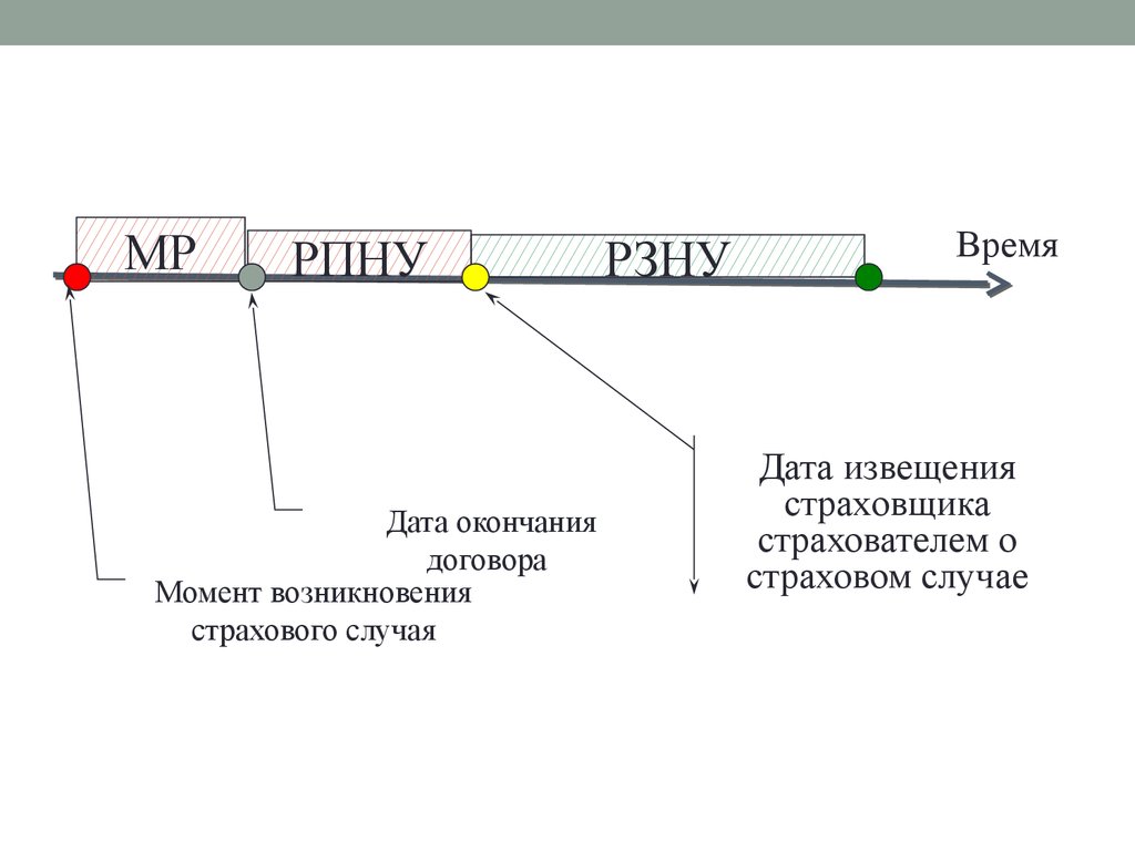 Нетто резерв