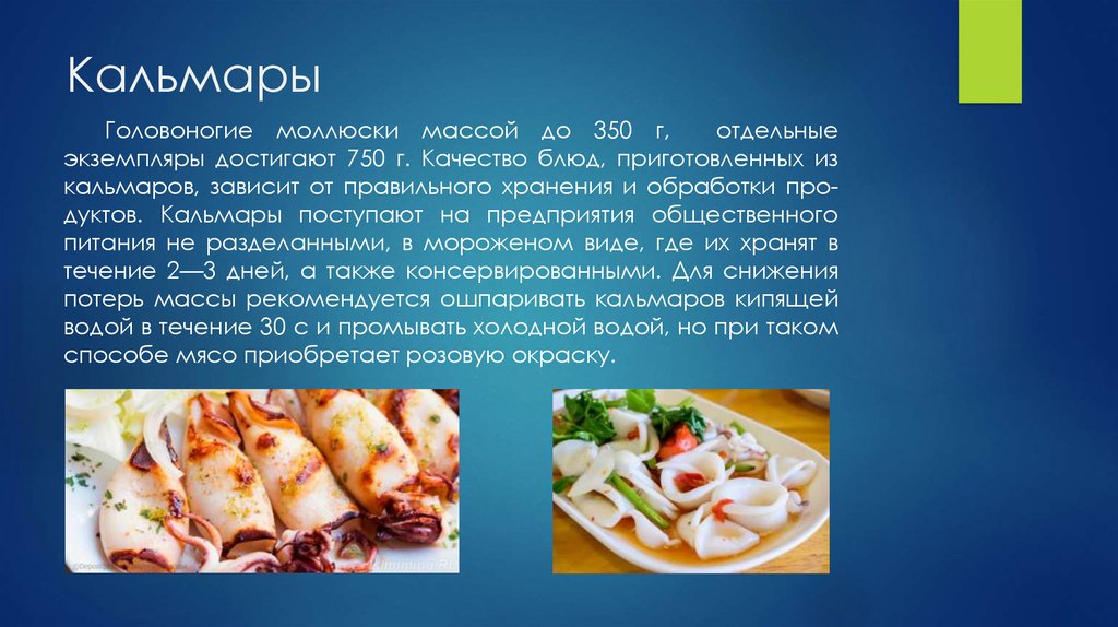 Правила игры в кальмара. Технология приготовления блюд из морепродуктов. Технология приготовления кальмаров. Презентация блюда из кальмаров. Полуфабрикаты из кальмара.