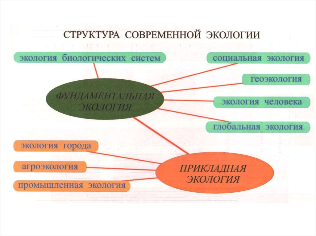 Преобразование природы и общества. Структура экологии. Структура классической экологии. Структура экологии человека. Структура промышленной экологии.