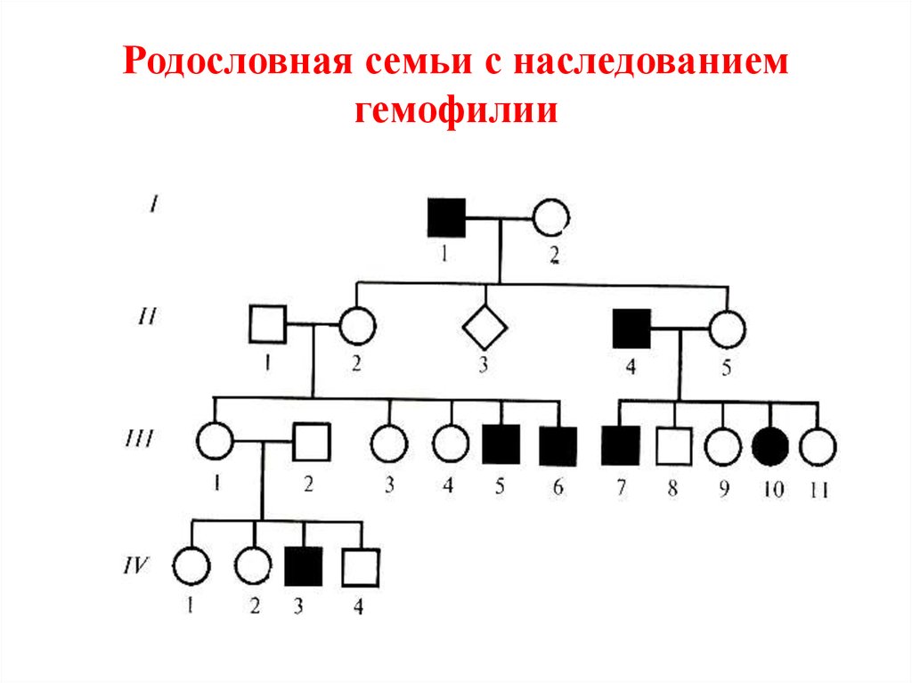 Родословная семьи образец генетика - 98 фото