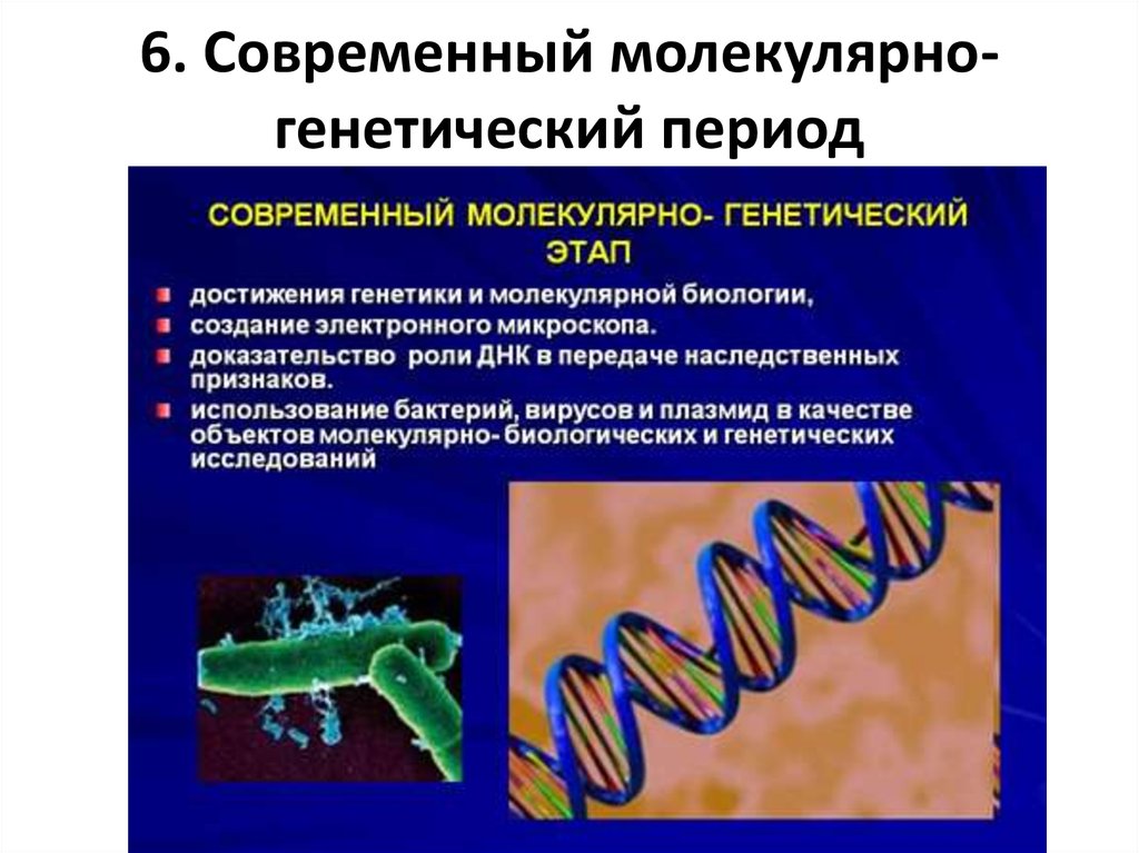 Аналитическая биология. Молекулярно-генетический период микробиологии. Современный молекулярно-генетический этап. Молекулярно-генетические методы исследования. Современные молекулярно генетические методы.