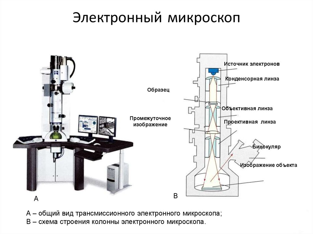 1 прибор типа микроскопа. Схема электронного микроскопа 5 класс биология. Схема строения электронного микроскопа. Строение цифрового электронного микроскопа. Цифровой электронный микроскоп микроскоп строение.