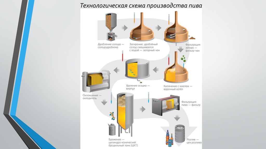 Технология производства пива презентация