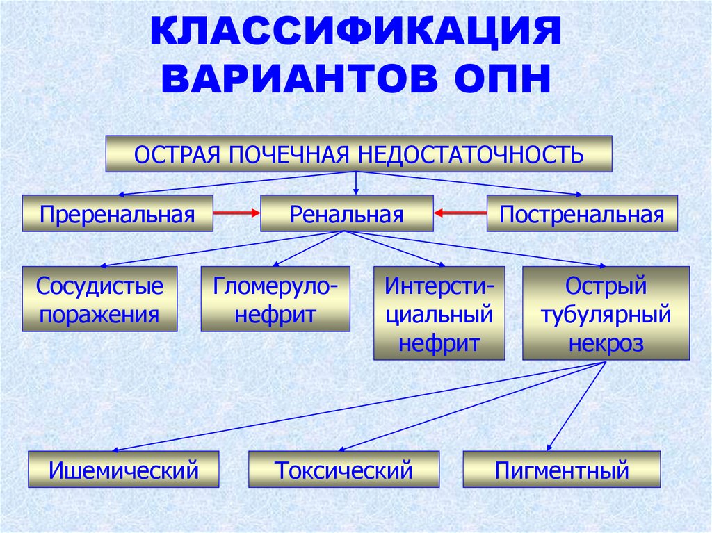 Классификация вариантов. Острая почечная недостаточность классификация. Классификация ОПН.