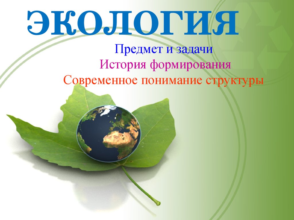 Презентация по экологии. Экология презентация. Предмет экологии. Экология слова. Экология надпись.