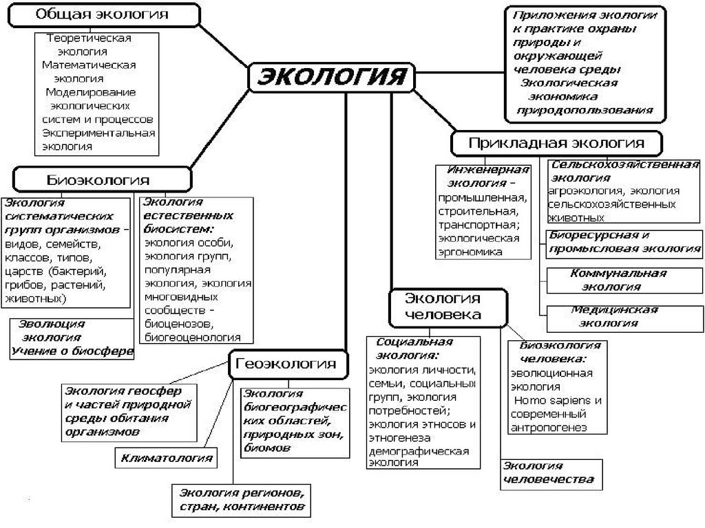 Направления экологии. Главные направления современной экологии. Охарактеризуйте главные направления современной экологии. Основные направления экологии кратко. Структура современной экологии таблица.