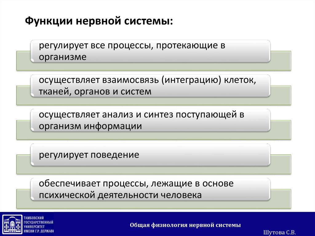 Физиология Нервной Системы Купить