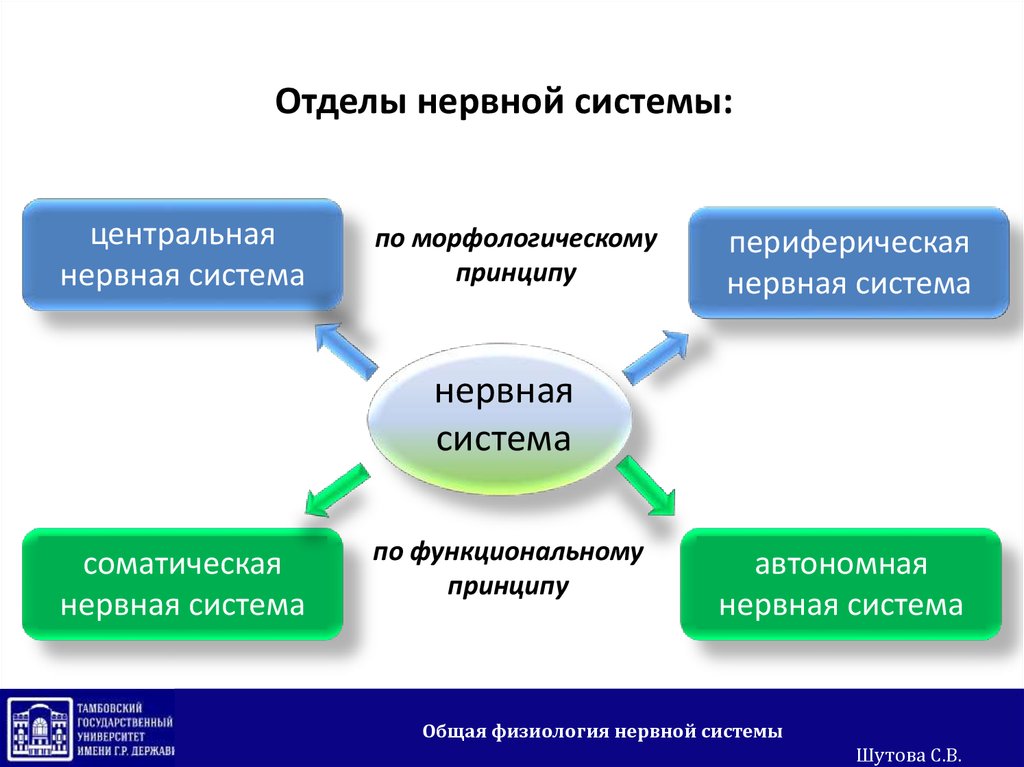 Автономный принцип