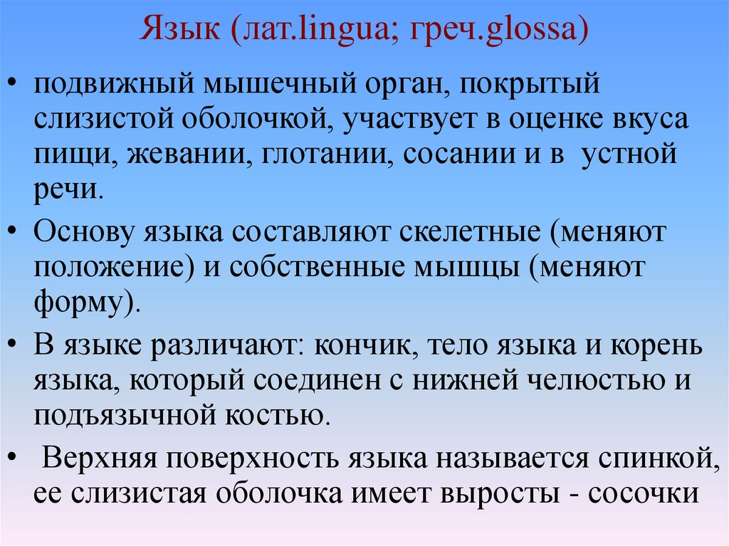 Язык (лат.lingua; греч.glossa)