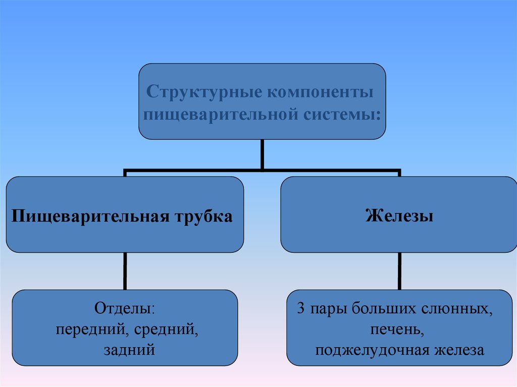 Структурные элементы метаурока.