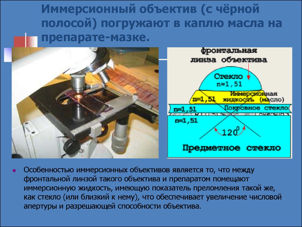 Иммерсионная микроскопия. Иммерсионная система микроскопа. Иммерсивная система микроскопа. Иммерсионный микроскоп метод. Увеличение иммерсионного микроскопа.