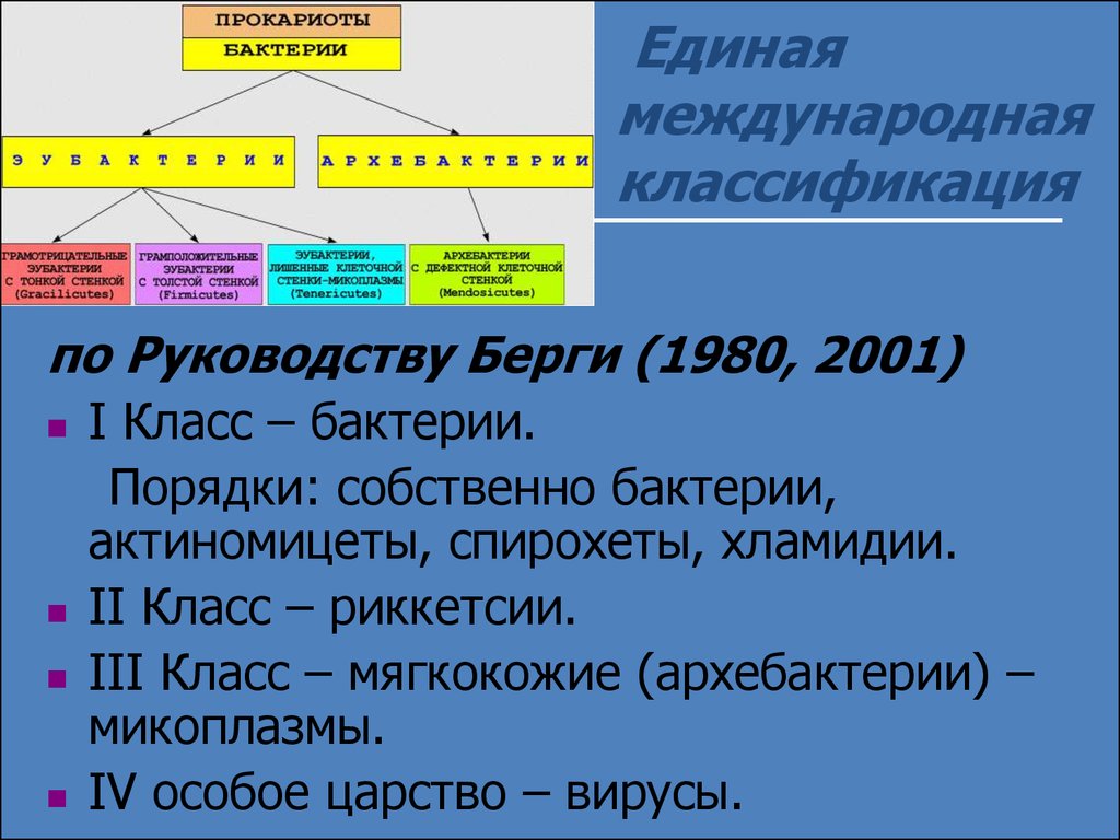 Классификация берги