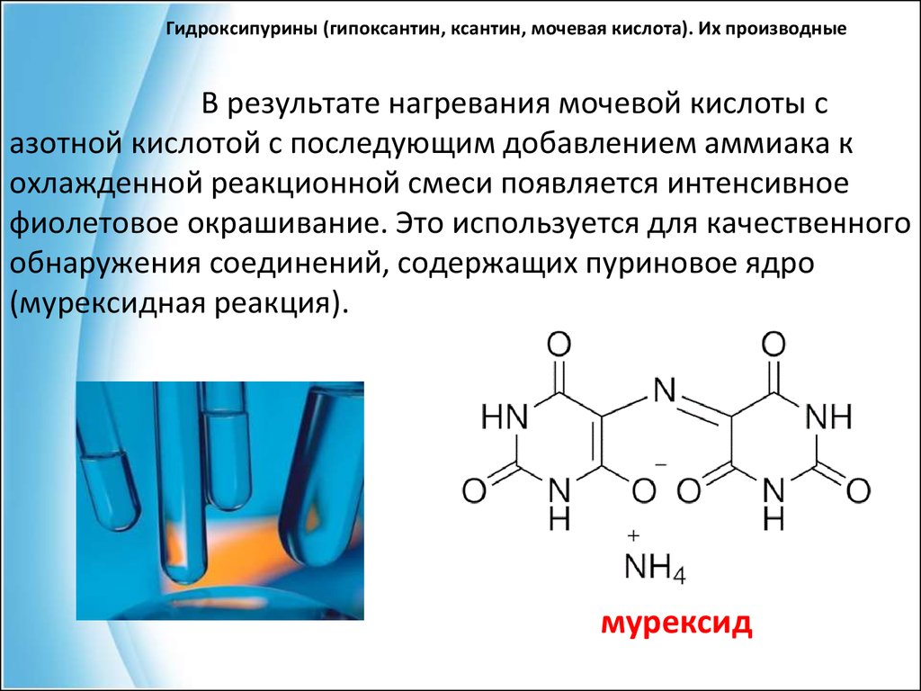 Гипоксантин формула. Мочевая кислота строение химия. Мочевая кислота формула (строение). Производные Пурина мочевая кислота. Качественные реакции на производные Пурина.