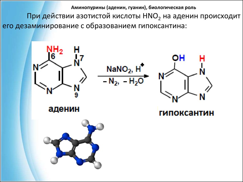 Схема таутомерных превращений гуанина - 88 фото