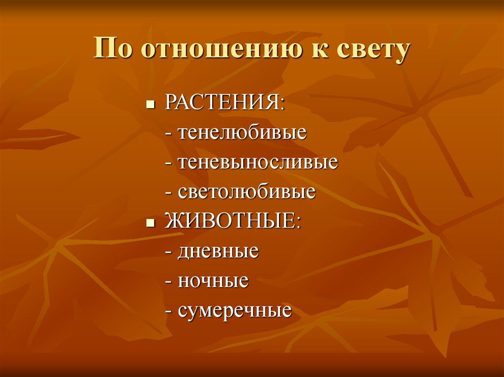 Отношение к свету. Светолюбивые животные. Светолюбивые и теневыносливые животные. Дневные животные по отношению к свету. Фотофилы примеры животных.