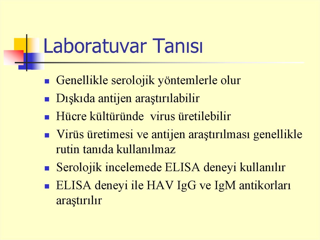 Hepatit Viruslari Ve Enfeksiyon Olusturma Mekanizmalari Prezentaciya Onlajn