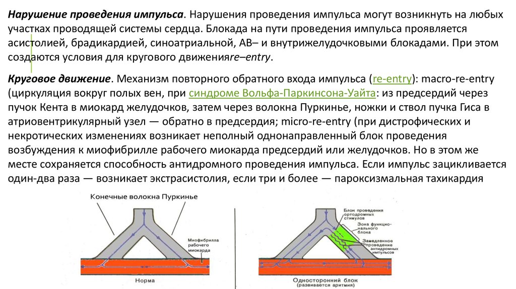 Проводить импульсы. Нарушение проведения импульса. Нарушения проведения импульса включают:. Нарушение проведения импульса по проводящей системе сердца это. Механизм развития блокады проведения импульса обусловлен.