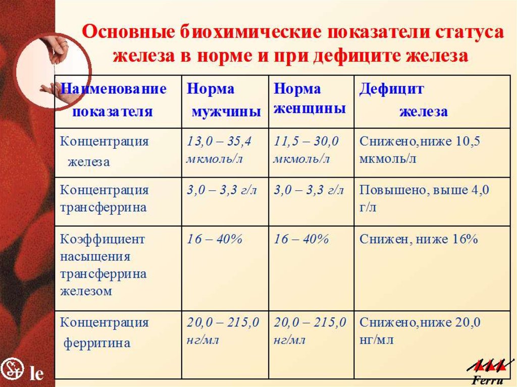 Норма железы у женщин таблица. Железо в крови норма у женщин по возрасту таблица. Показатель железа в крови норма у женщин таблица. Показатели железа в крови норма у женщин. Железо в крови норма у женщин по возрасту.