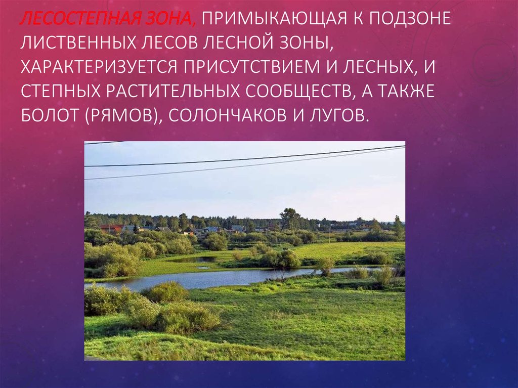 Растительный и животный мир западно сибирской равнины. Лесостепная зона. Меры предосторожности в лесостепной зоне. Западно-Сибирский подтаежно-лесостепной Лесной район. Западно-Сибирский подтаежно-лесостепной район.