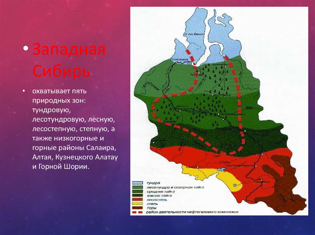 Карта населения западной сибири