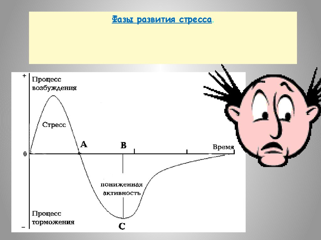 Стадии стресса. Фазы развития стресса. Стадии развития стресса график. Стадии развития стресса и его фазы. Стадии развития стресса картинки.