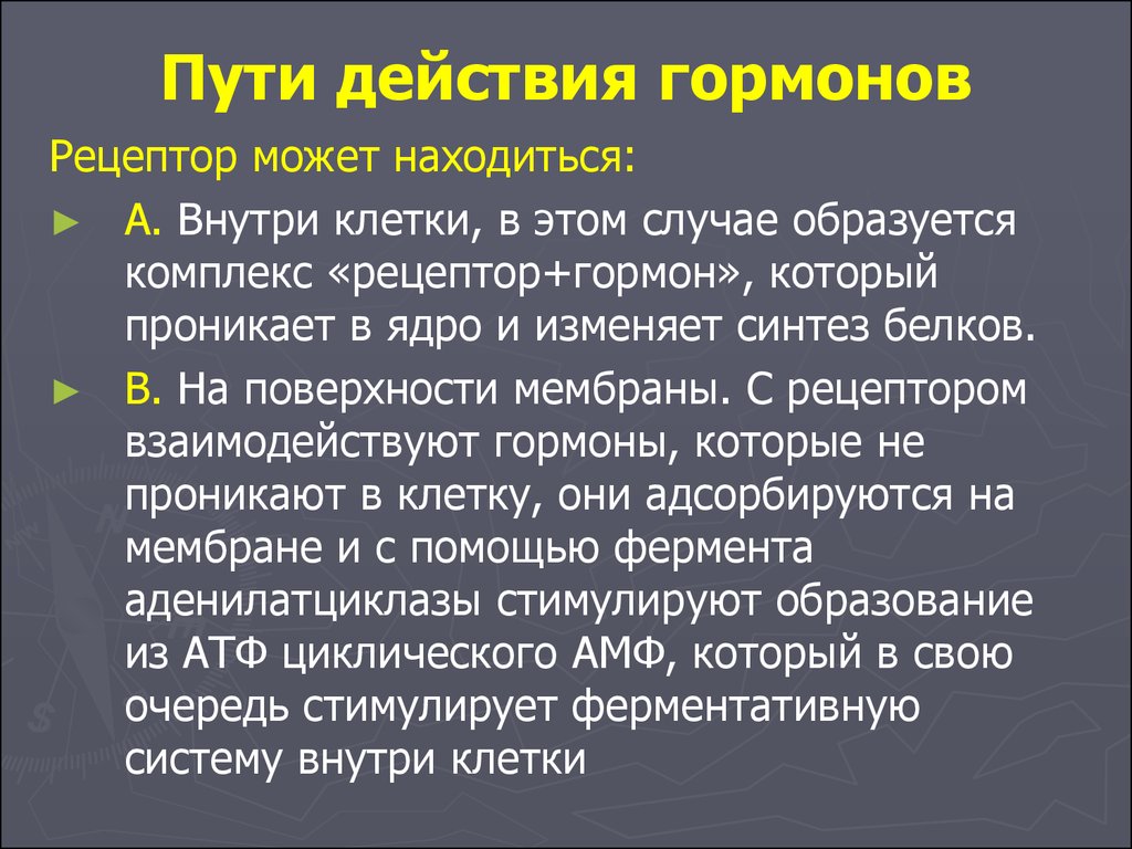 Гормоны действующие. Пути действия гормонов. Виды и пути действий гормон. Виды и пути действия гормонов на клетки-мишени.. 6. Пути действия гормонов на клетки-мишени..