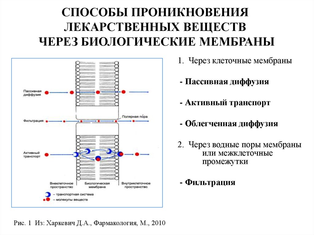 Механизмы транспорта. Способ проникновения лекарственных веществ через клеточные мембраны. Способы проникновения веществ через биологические мембраны. Виды транспорта лекарственных средств через клеточную мембрану. Механизмы транспорта лекарственных средств через мембраны.