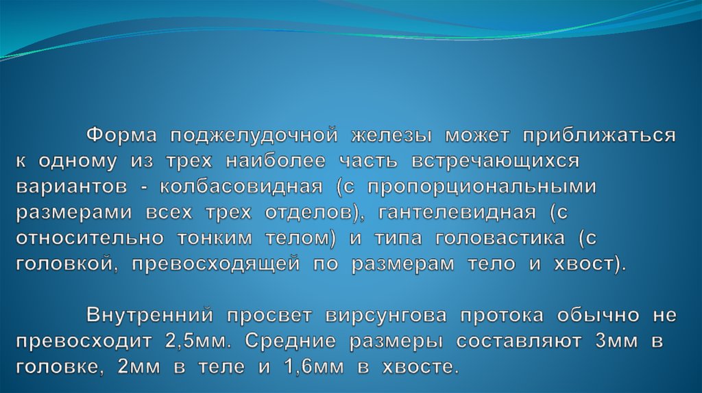 3 2 3 3 наиболее. Гантелевидная форма поджелудочной железы. Гантелевидная форма поджелудочной железы это норма.