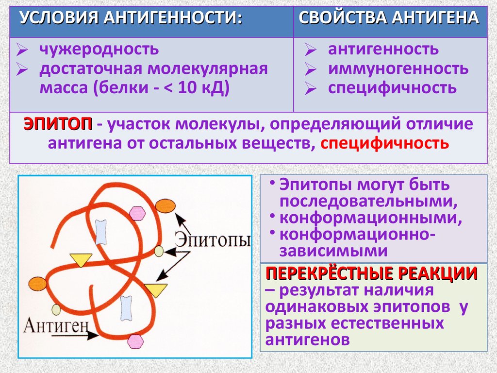 Антигены микробиология презентация