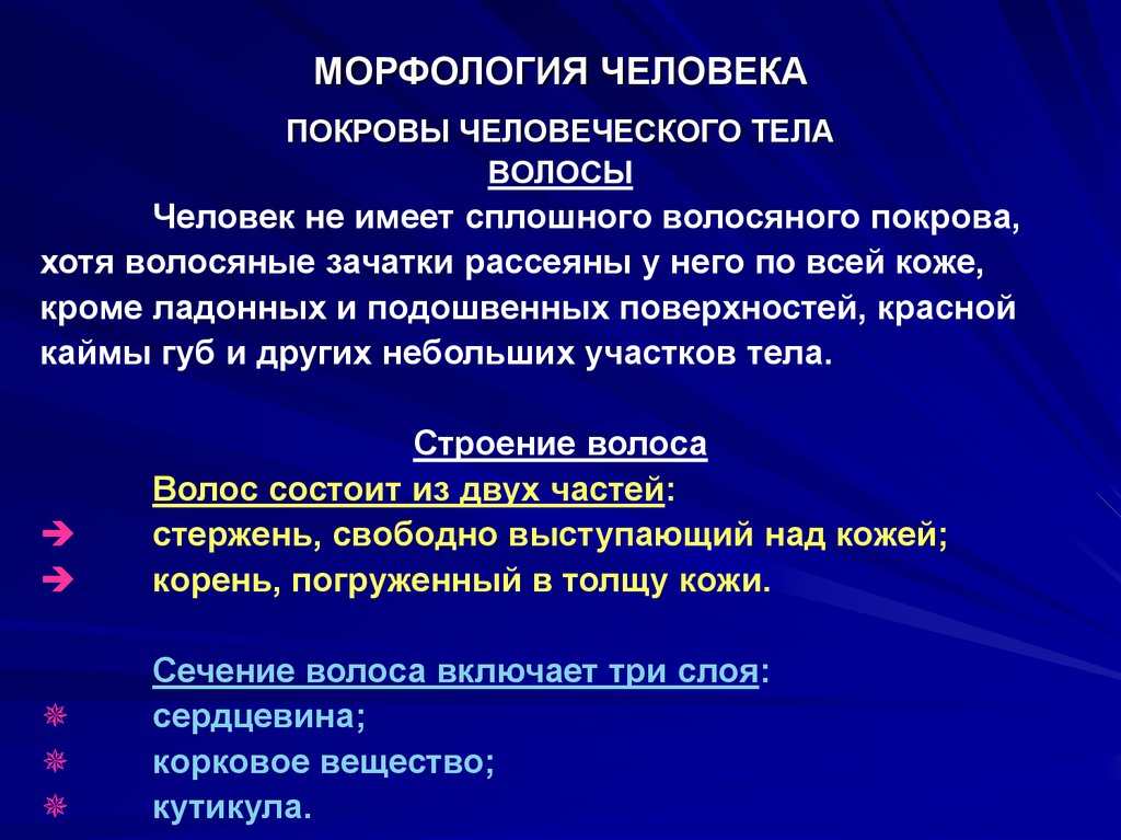 Презентация про морфологию