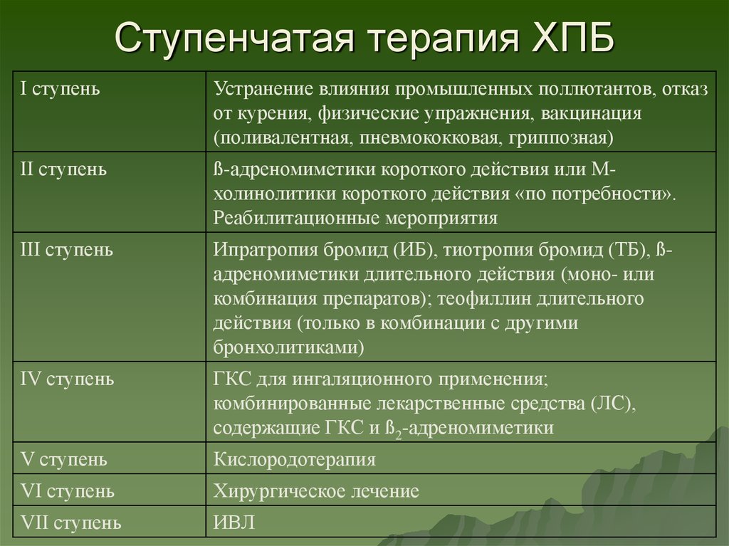 Пылевой бронхит презентация