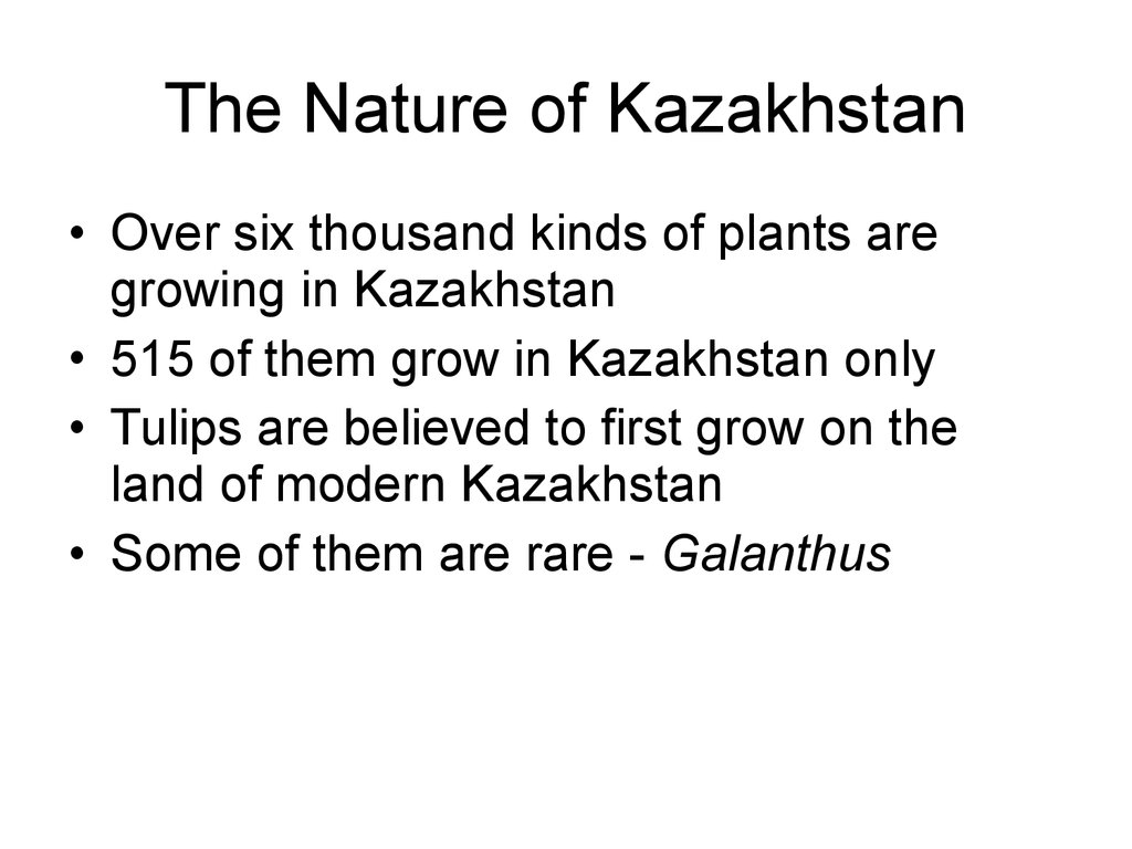 The Nature of Kazakhstan