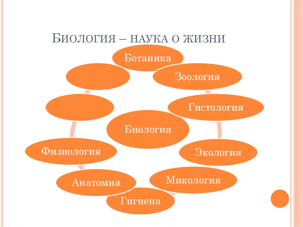 Биология в жизни каждого проект 5 класс