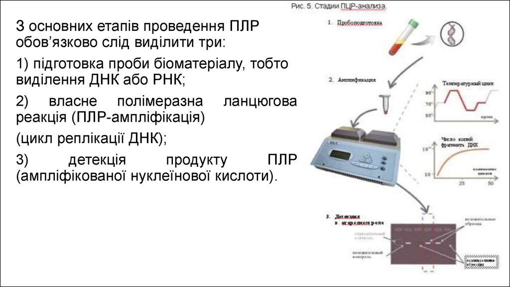 Dnk Diagnostika Online Presentation