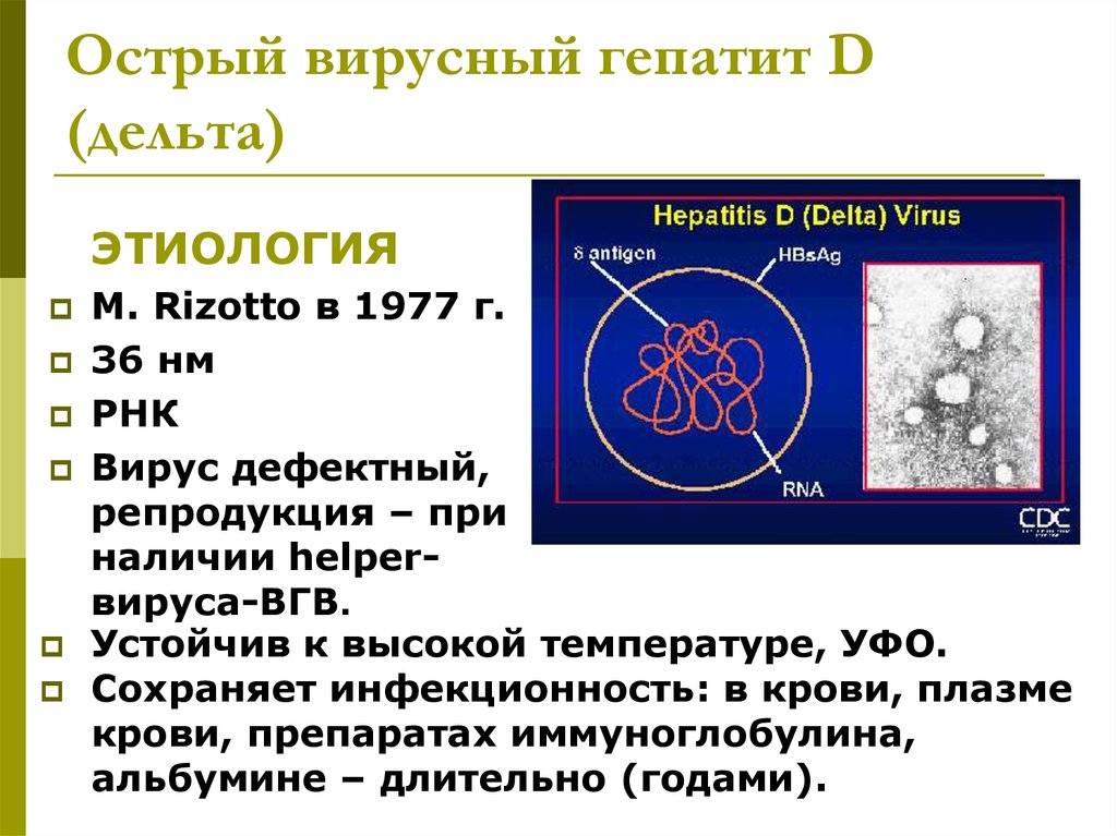 Гепатит д это. Вирус гепатита в. Вирус гепатита Дельта. Морфология вируса гепатита d. Строение вируса гепатита Дельта.