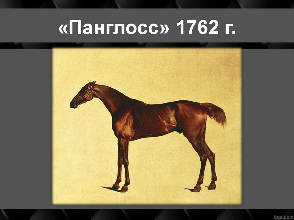 «Панглосс» 1762 г.