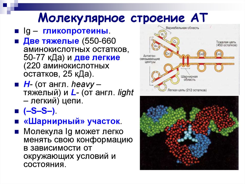 Средний молекулярные вещества. Молекулярноное строение. Молекеклярное строение. Вещества которые имеют молекулярное строение. Молекулярный Тип строения.