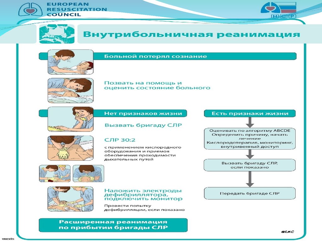 Поддержание жизни. Поддержание жизни детей. Последовательность использования анд. Алгоритм применения анд на фото.