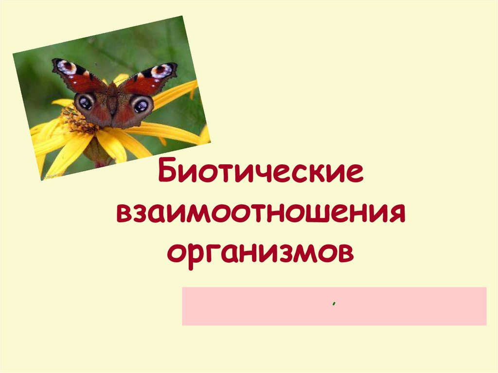 Соотнесите картинки и тип биотических взаимоотношений