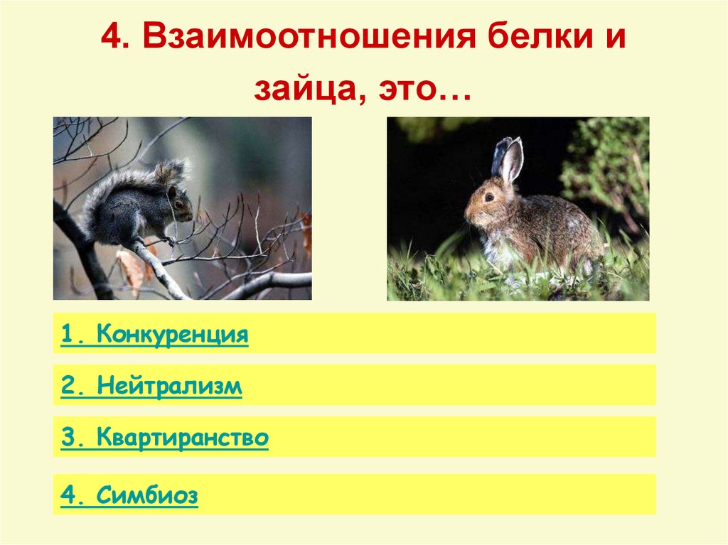 4. Взаимоотношения белки и зайца, это…