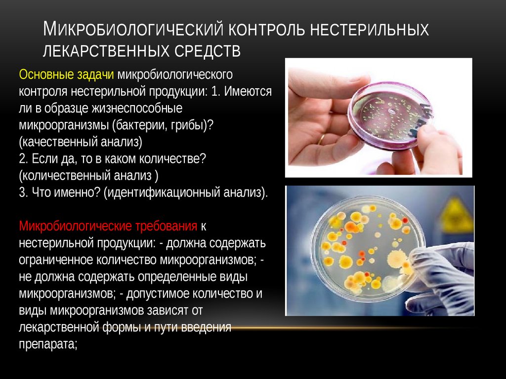 Презентация по микробиологии на тему дезинфекция