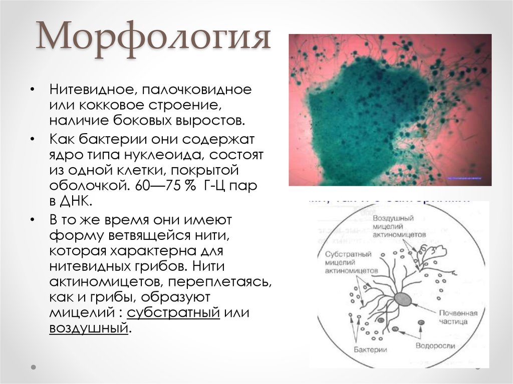 Наличие структуры